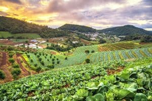 The Regenerative Agriculture Transition