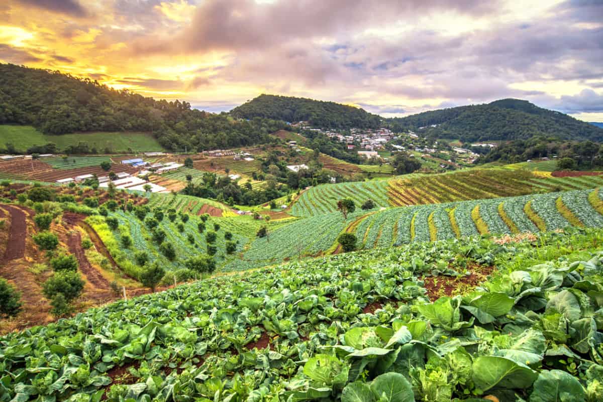Regenerative Agriculture Practices Green City Times regenerative-agriculture-practices-green-city-times