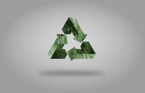 Companies Can Move Towards Sustainability