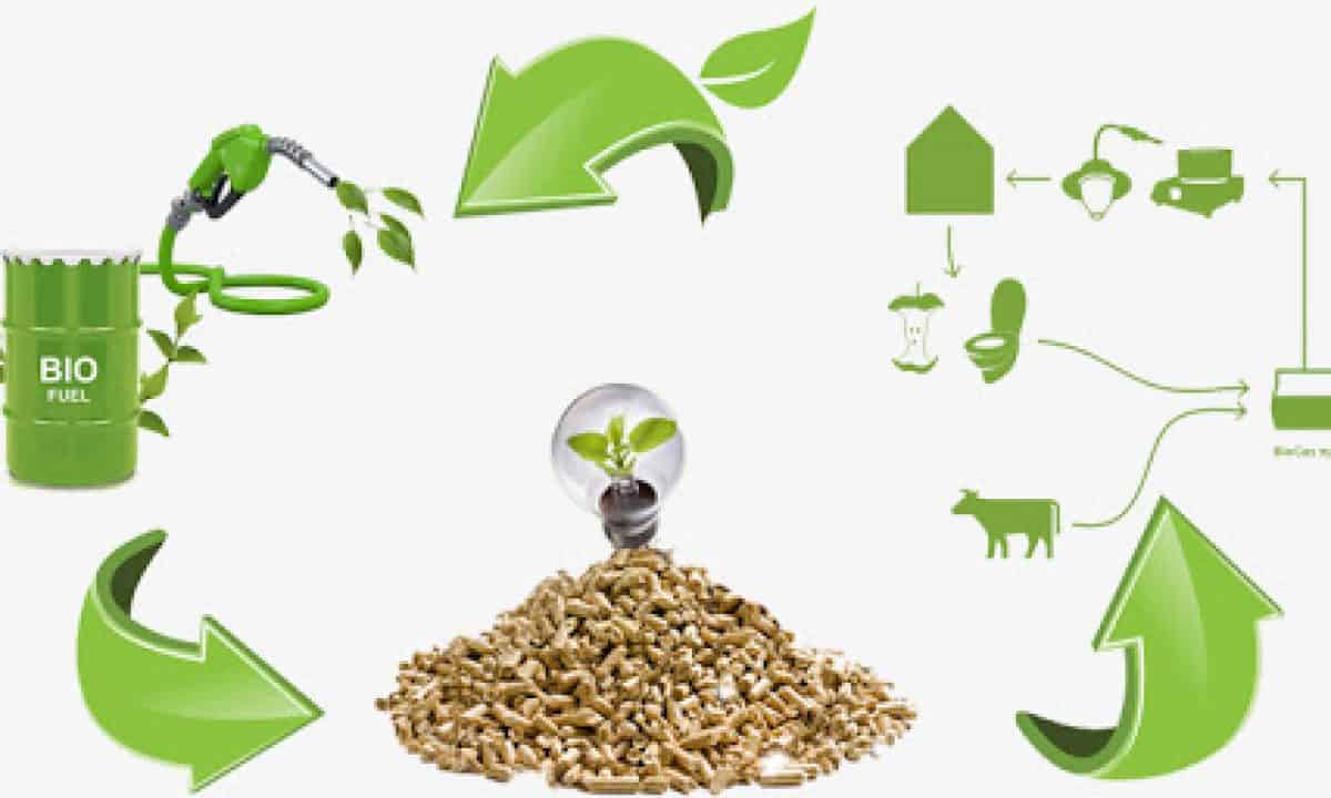 GCT Guide to Bioenergy; Waste-to-Energy | Green City Times