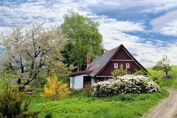 Benefits of Green Spaces at Home