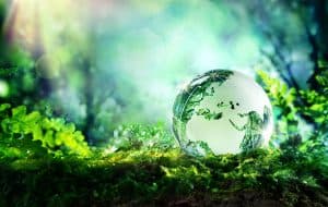 Help Your Area Be More Sustainable