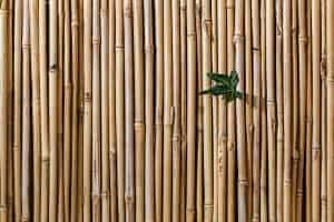 Eco Conscious Building Materials