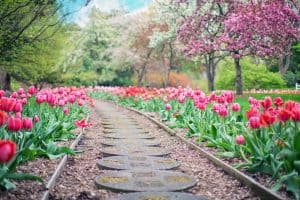 Guide To Creating An Eco Friendly Garden