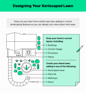 Xeriscaping