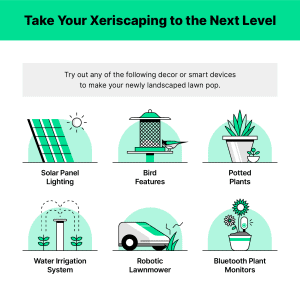 Xeriscaping