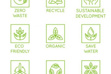 Green E-commerce & Sustainable Packaging