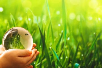 How to Live a More Sustainable Life