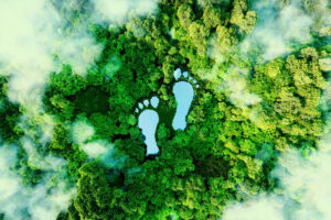 Sustainability Today Carbon Footprint