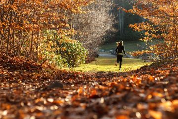 How to Make Your Fitness Routine More Eco-Friendly