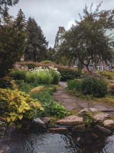 10 Tips For Encouraging Biodiversity