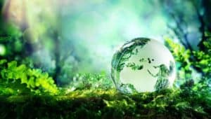 10 Simple Steps To Living A Sustainable Lifestyle