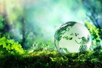 5 Ways Brands Can Engage Consumers in Sustainability