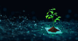 How The Metaverse Inspires Sustainability