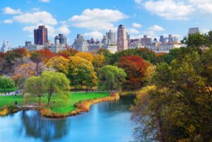 New York City Central Park 1 New York City Central Park 1