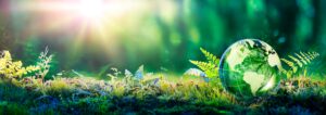 Sustainable Living Begins At Home