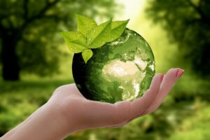 Small Businesses And Net Zero