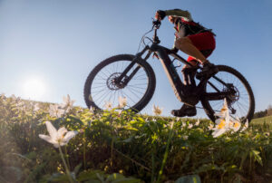 E Bikes The Future Of Sustainable Transit