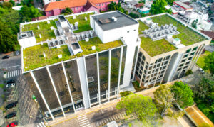 Green Roofing Innovations
