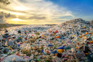 Sustainable Plastic Alternatives