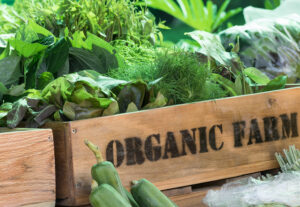 10 Simple Steps To Living A Sustainable Lifestyle