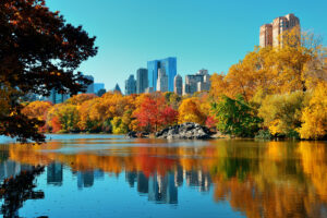 Central Park Autumn And Buildings Reflection In Midtown Manhattan New