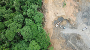 The New Eu Deforestation Regulation