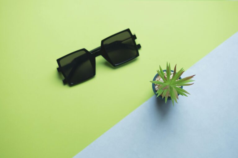 Sustainable Frames for Sunglasses