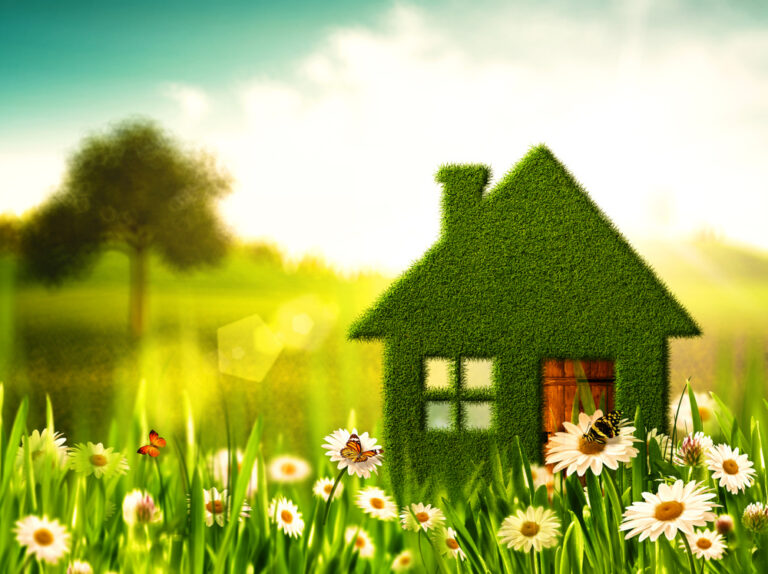Green Homes: Sustainable Practices