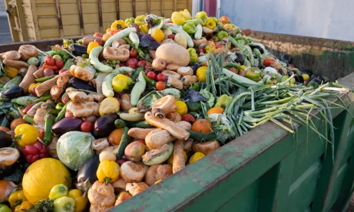 Istock 1425232352 The Environmental Impact Of Food Waste
