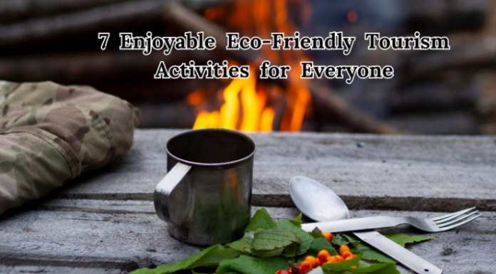 Screenshot 2024 05 28 12 09 51 Pm Eco Friendly Tourism Activities