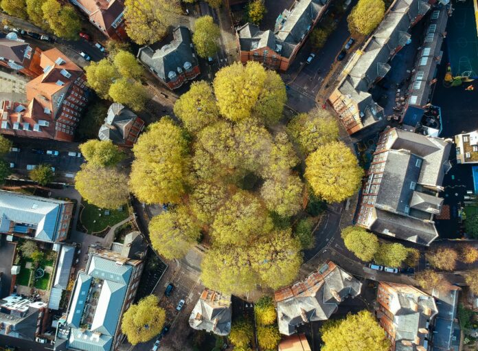 Urban Greenery Around The World