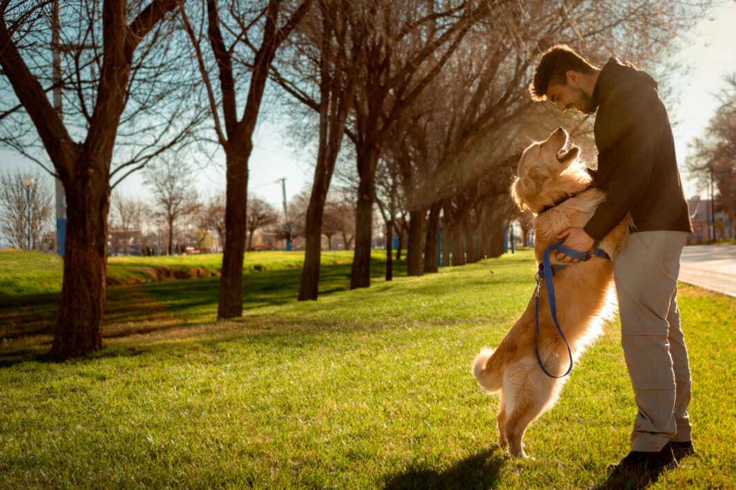 Eco Conscious Tips For Pet Owners