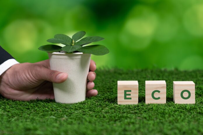 4 Sustainable Tips To Reduce Utility Bills