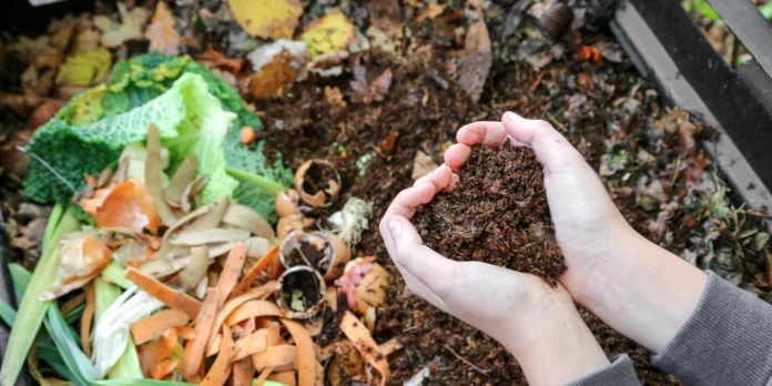 compost Sustainable Composting At Home