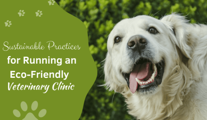 Eco Friendly Veterinary Clinic