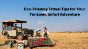 Eco Friendly Travel In Tanzania
