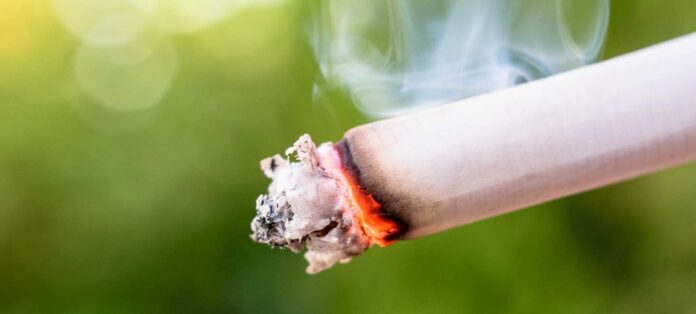 Reduce Smoking To Protect Our Planet Reduce Smoking To Protect Our Planet
