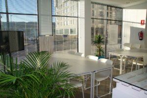 How To Incorporate Sustainable Office Practices Across Industries