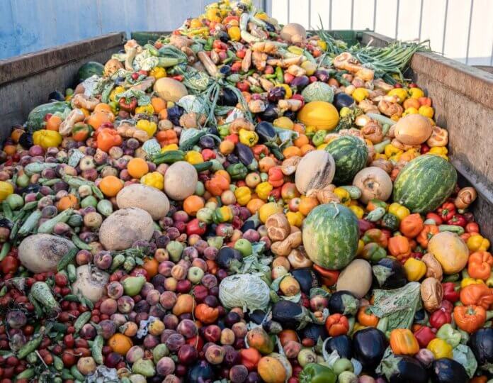 Green City Times Reducing Post Harvest Food Loss
