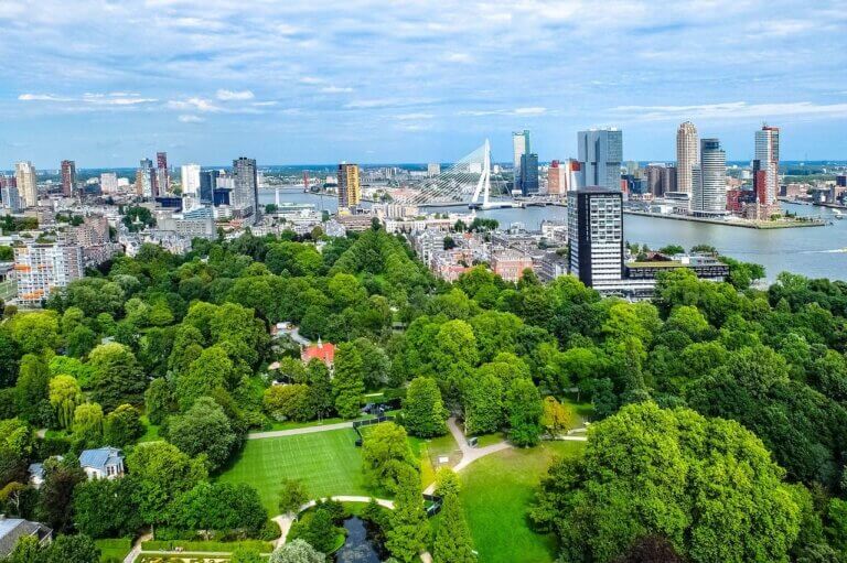 Green Spaces and Emotional Well-being