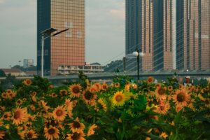 Green City Times Green City Times
