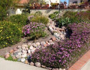 Naturescaping Benefits The Environment