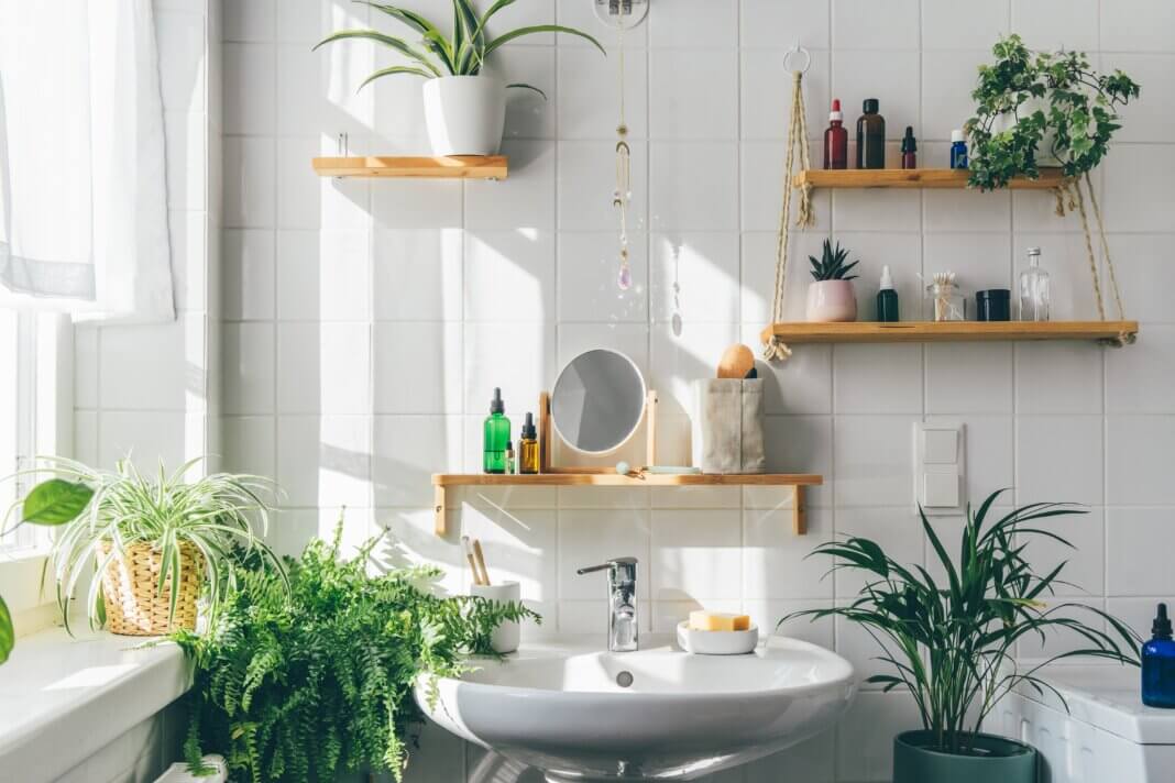 Eco Friendly Bathroom