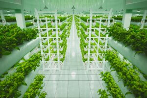 Vertical Farming In Urban Spaces