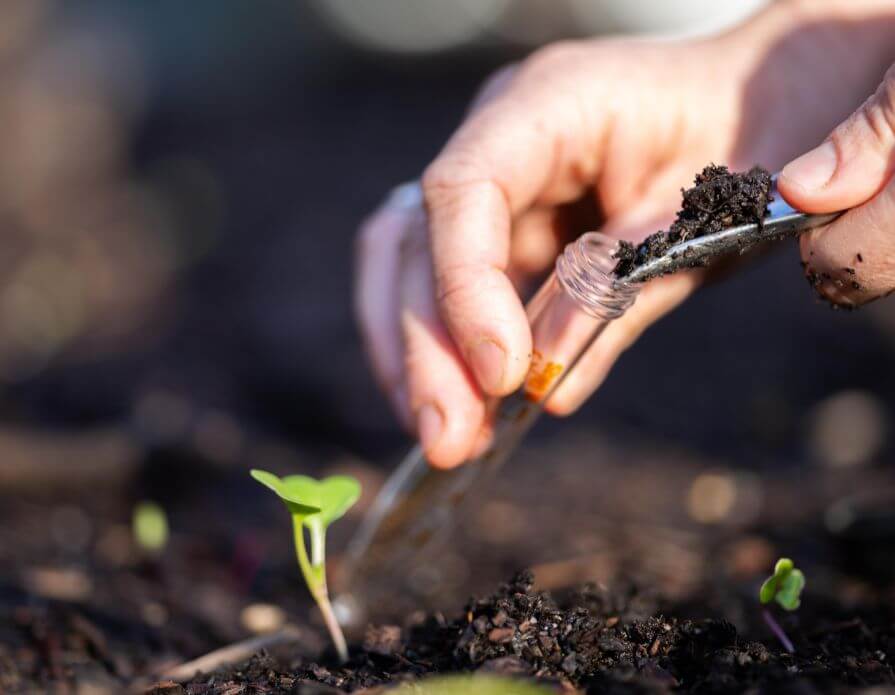 Sustainable Farming Practices To Enrich Soil