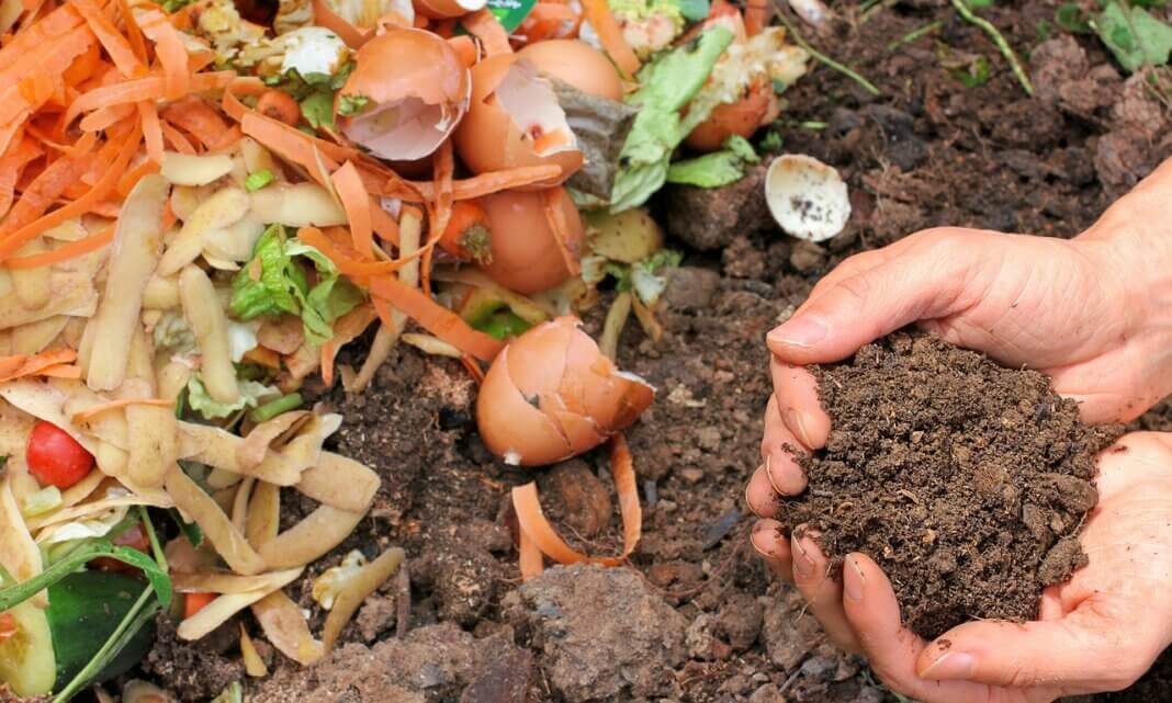 5 Ways Sustainable Food Waste Disposal Helps Protect The Planet