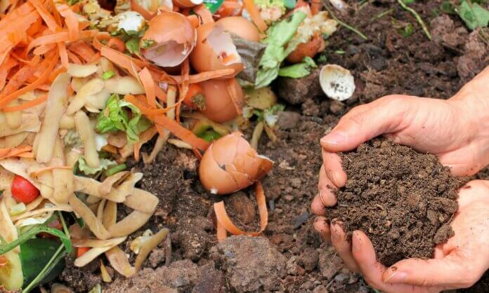 Compost 5 Ways Sustainable Food Waste Disposal Helps Protect The Planet