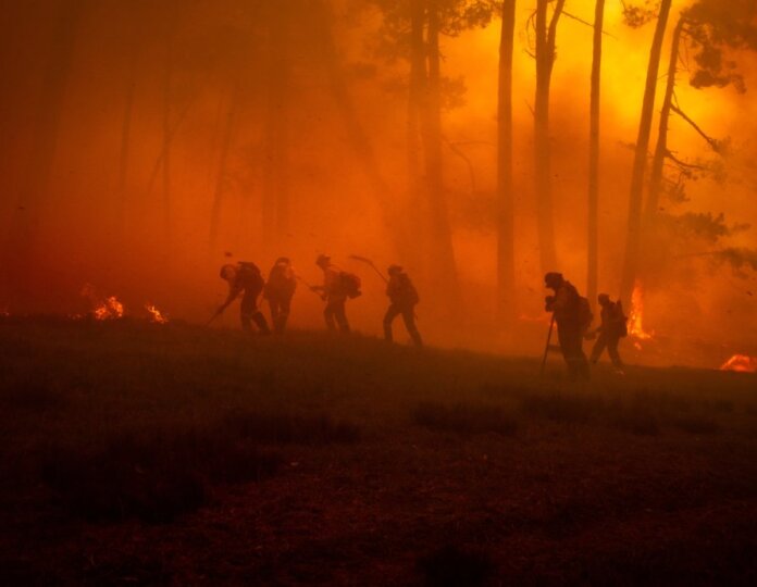Wildland Firefighters Protect Ecosystems Wildland Firefighters Protect Ecosystems