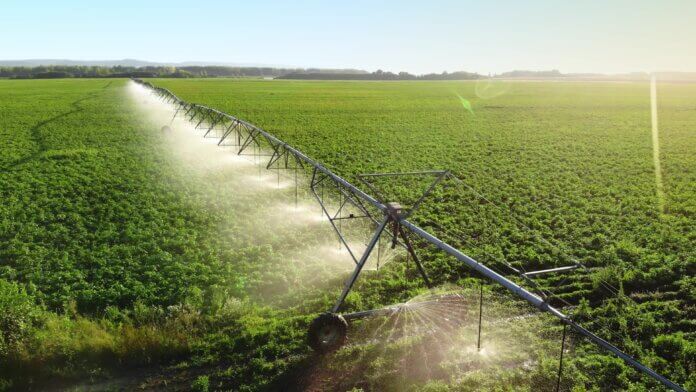 How Farms Are Optimizing Water Usage In 2025
